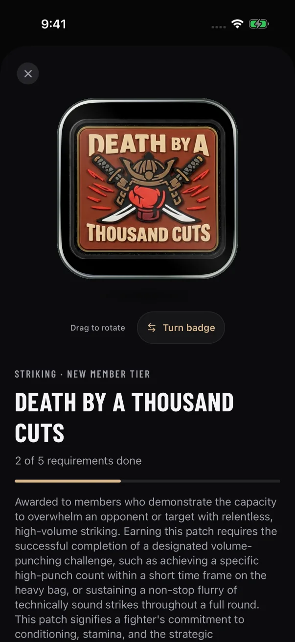 The top of the page: the patch, the controls for turning it over, the patch name and how many requirements you've done.