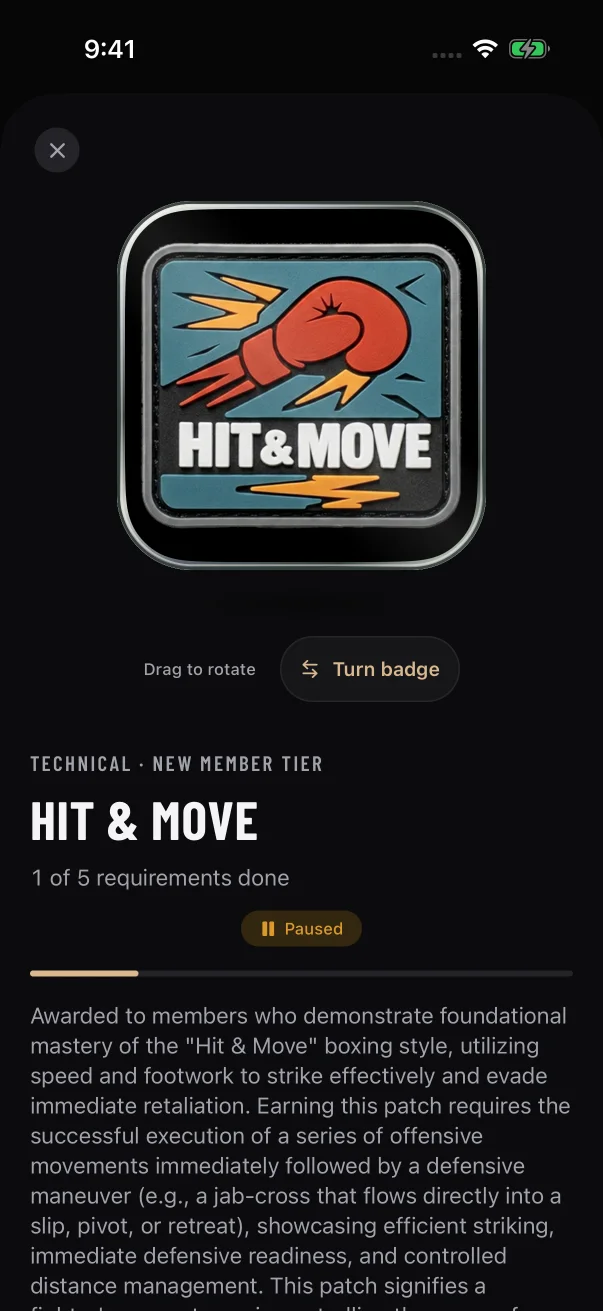 A paused patch keeps its progress bar and shows an amber "Paused" chip.