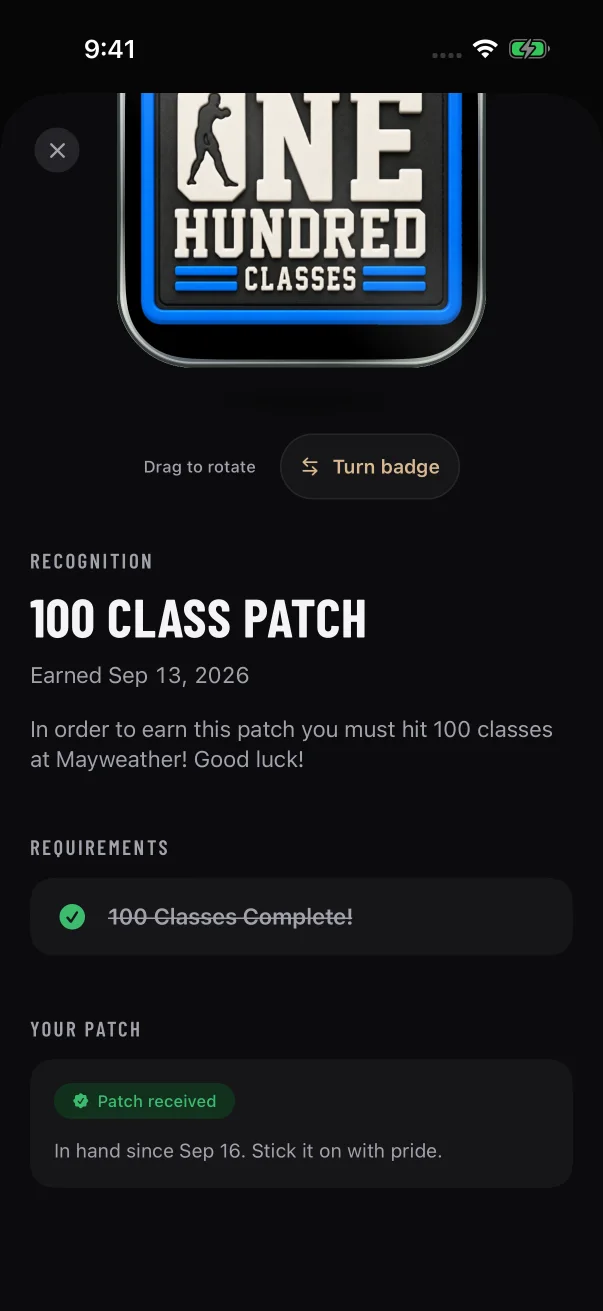 The green chip means the patch is in your hands.