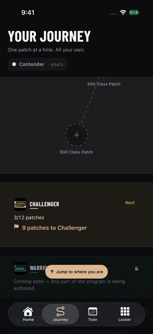 The row marked "Next" sums up what your next belt still needs. The belts above it are locked.